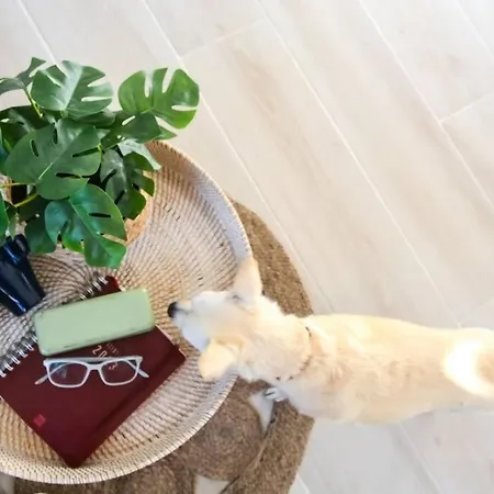 Casa Alicia Town By Babiniliving Lejlighed